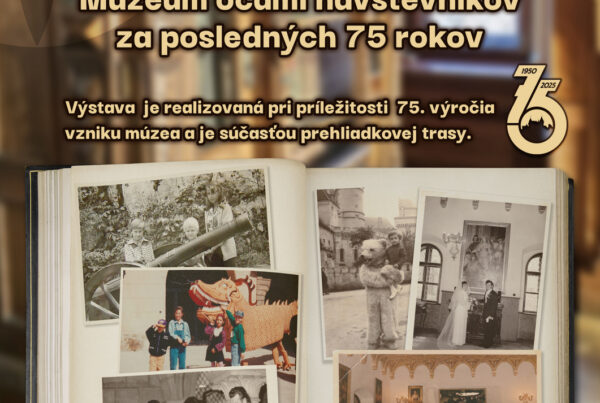Vystava plagat