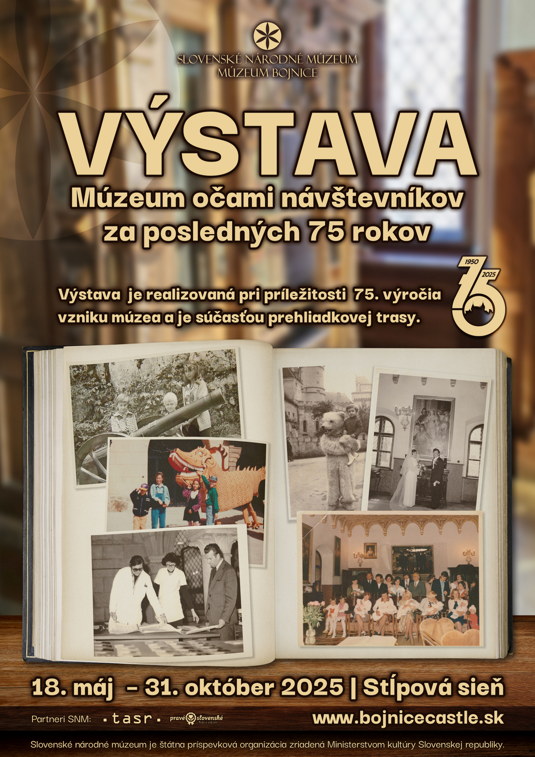 Vystava plagat